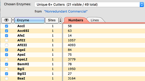 5.1 enzymeVisibility